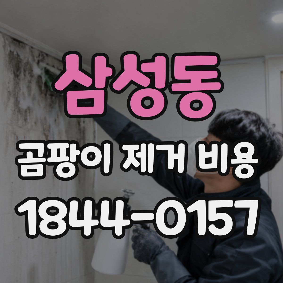 삼성동 곰팡이 제거 비용