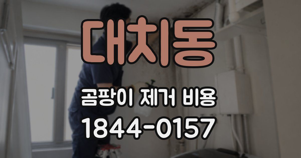 대치동 곰팡이 제거 비용