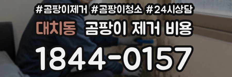 대치동 곰팡이 제거 비용