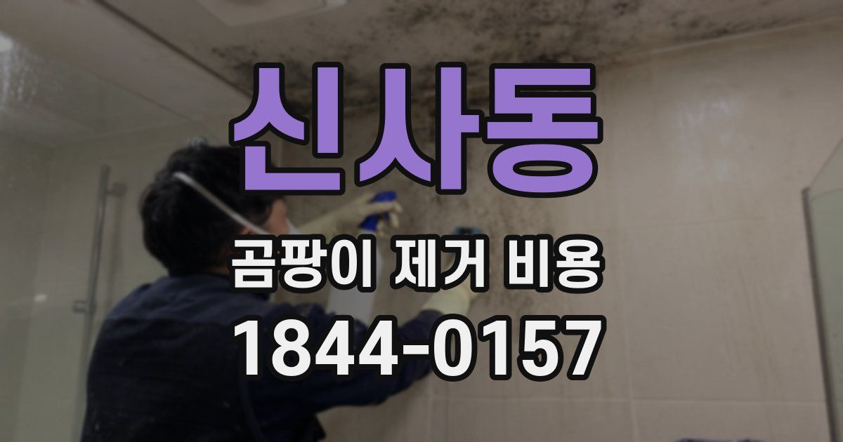 신사동 곰팡이 제거 비용