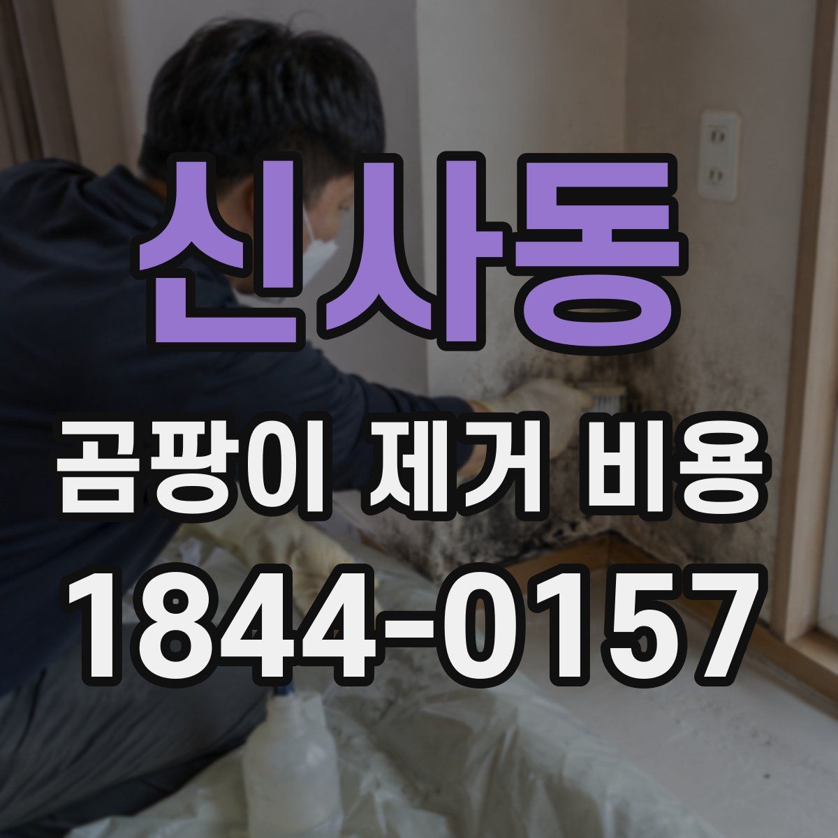신사동 곰팡이 제거 비용