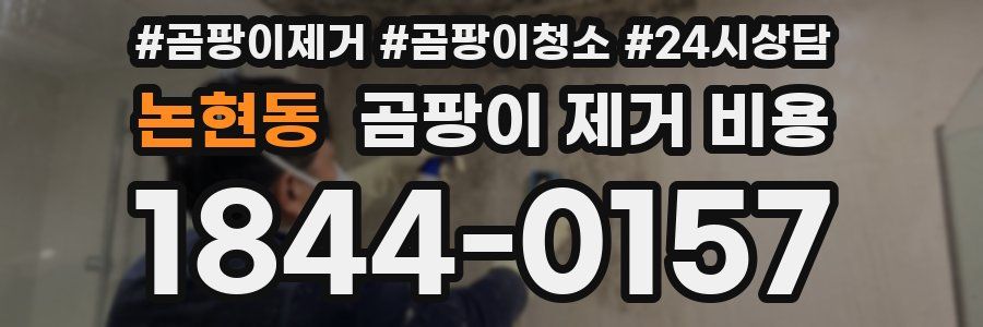논현동 곰팡이 제거 비용