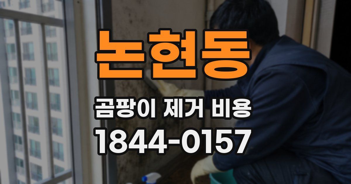 논현동 곰팡이 제거 비용