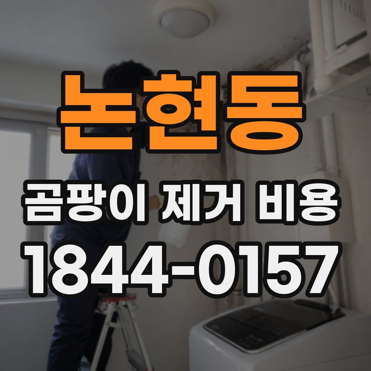 논현동 곰팡이 제거 비용