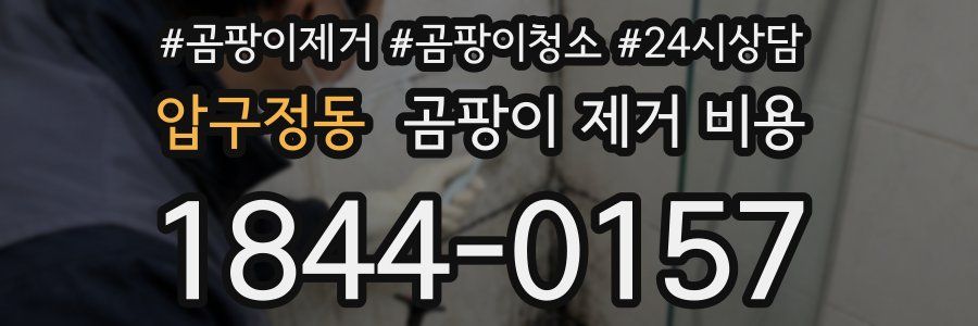 압구정동 곰팡이 제거 비용