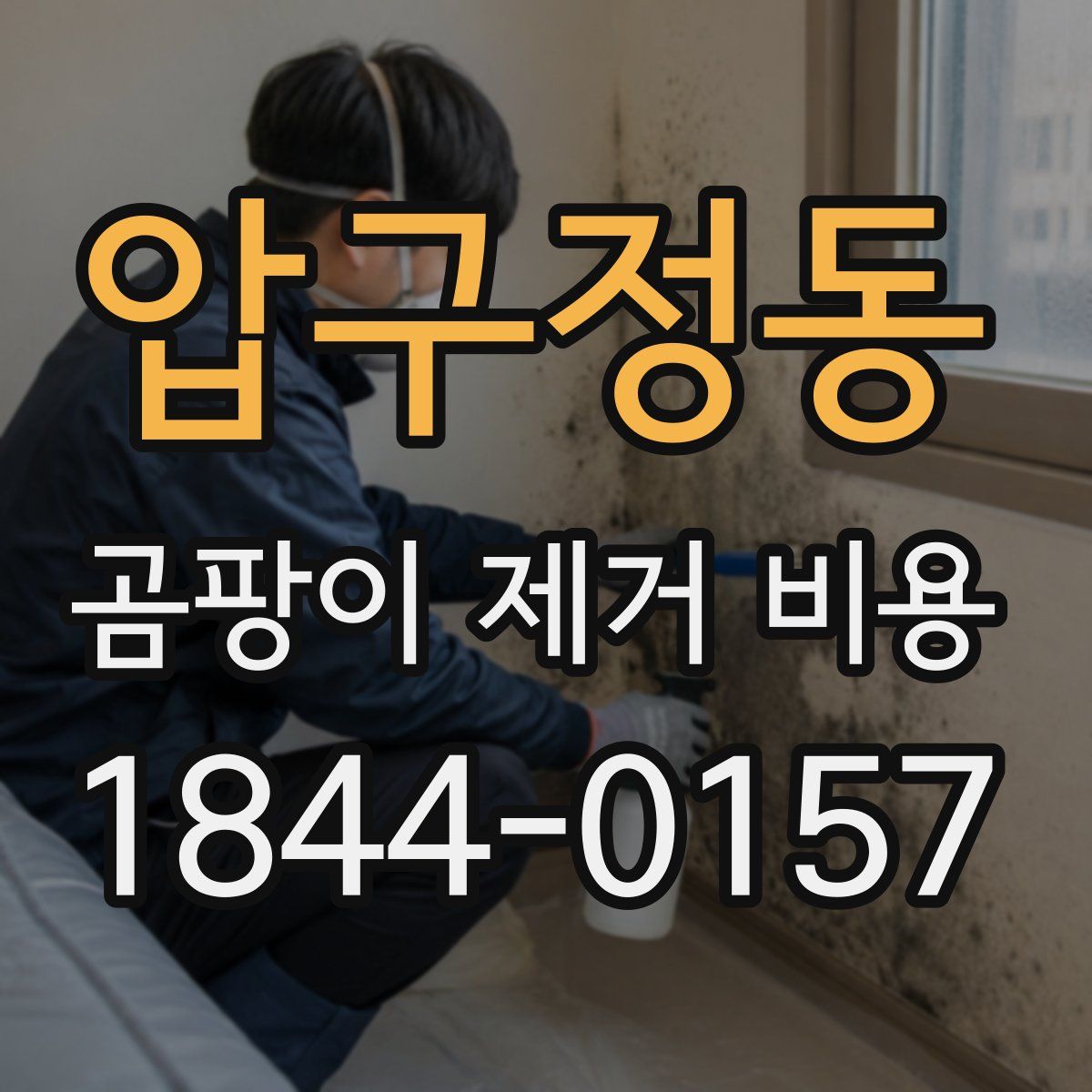 압구정동 곰팡이 제거 비용
