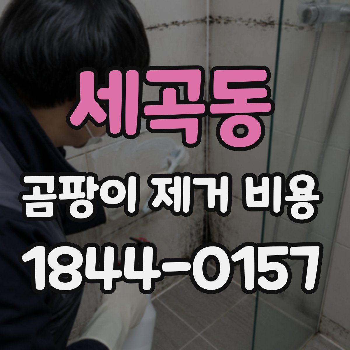 세곡동 곰팡이 제거 비용