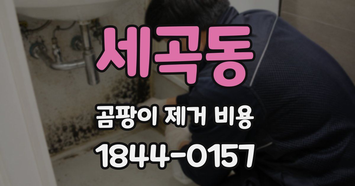 세곡동 곰팡이 제거 비용