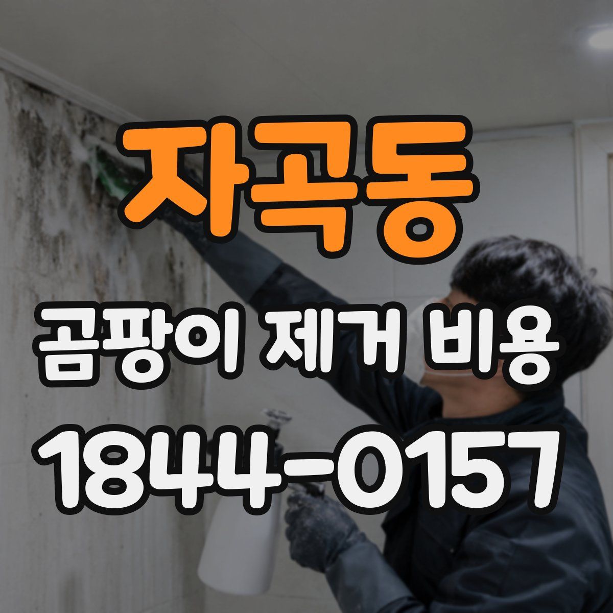 자곡동 곰팡이 제거 비용