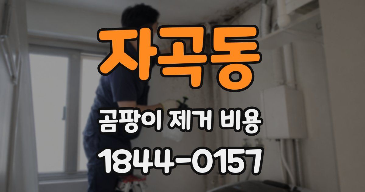 자곡동 곰팡이 제거 비용