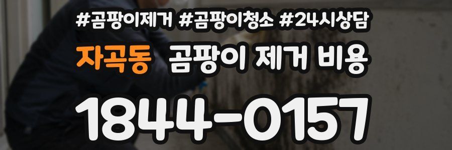 자곡동 곰팡이 제거 비용