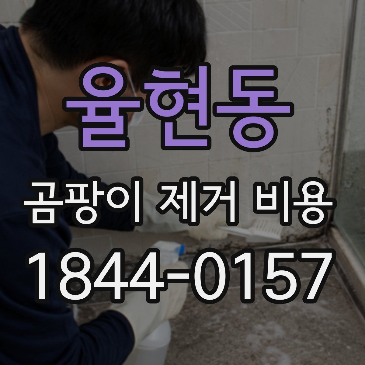 율현동 곰팡이 제거 비용