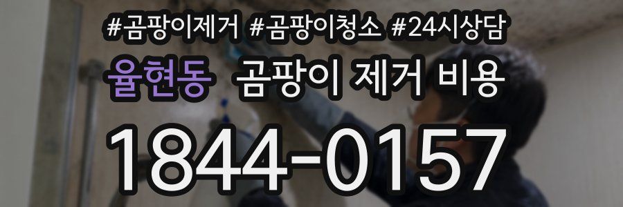 율현동 곰팡이 제거 비용