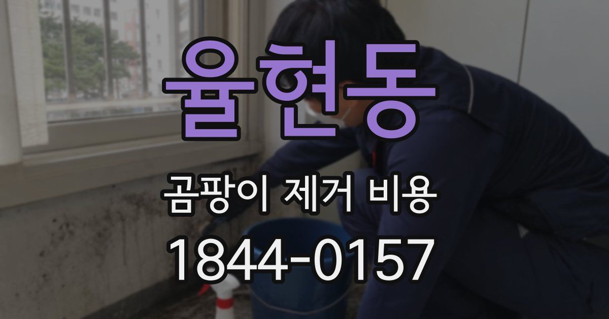 율현동 곰팡이 제거 비용