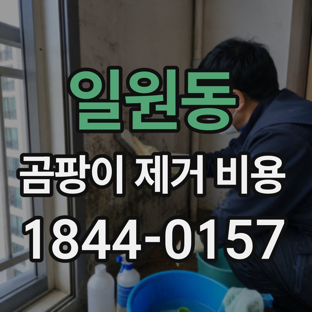 일원동 곰팡이 제거 비용