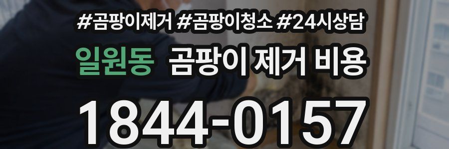 일원동 곰팡이 제거 비용