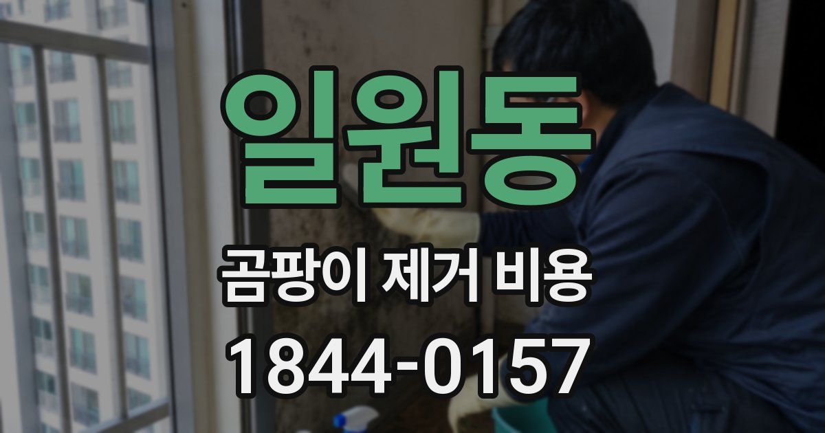 일원동 곰팡이 제거 비용