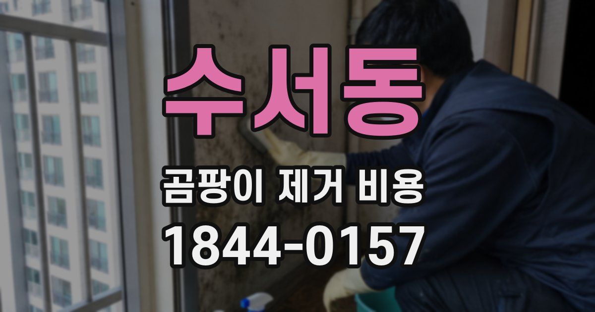 수서동 곰팡이 제거 비용
