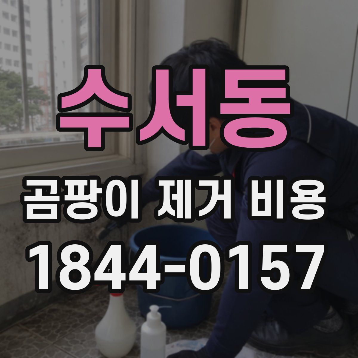 수서동 곰팡이 제거 비용