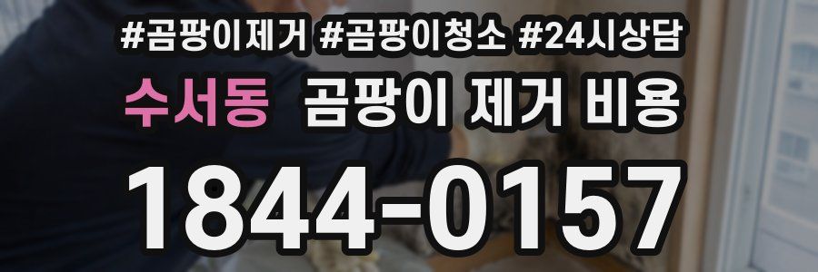 수서동 곰팡이 제거 비용