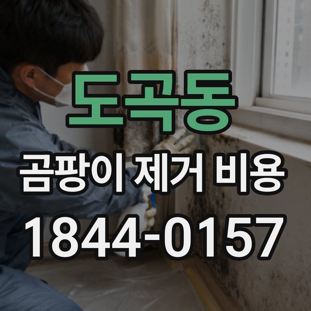 도곡동 곰팡이 제거 비용