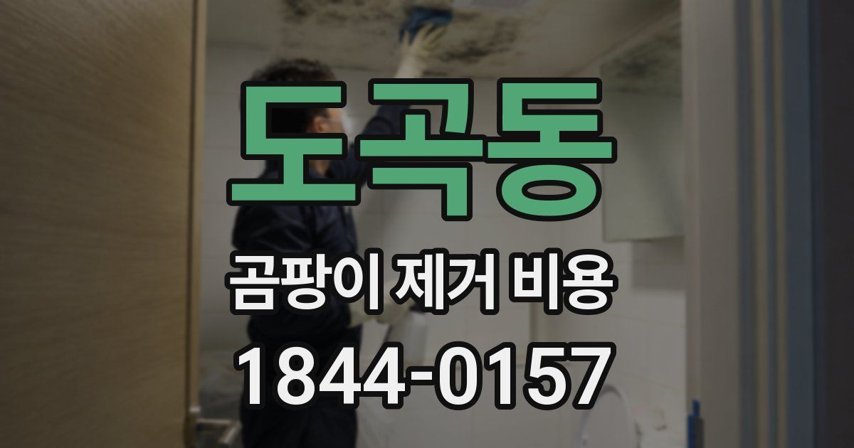 도곡동 곰팡이 제거 비용