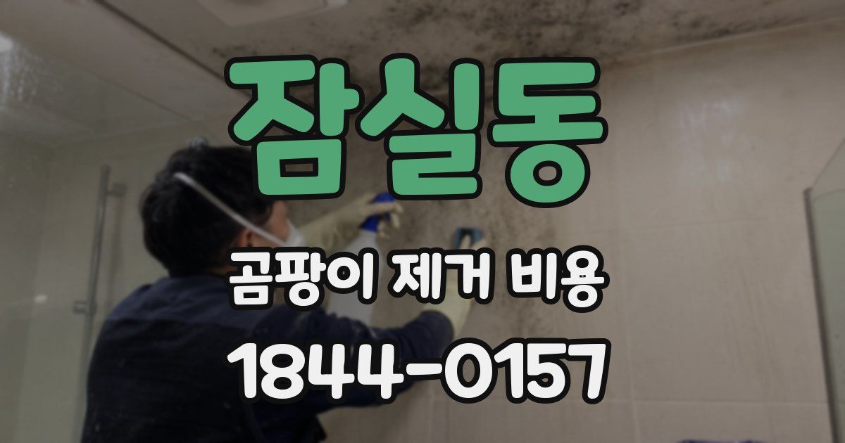 잠실동 곰팡이 제거 비용