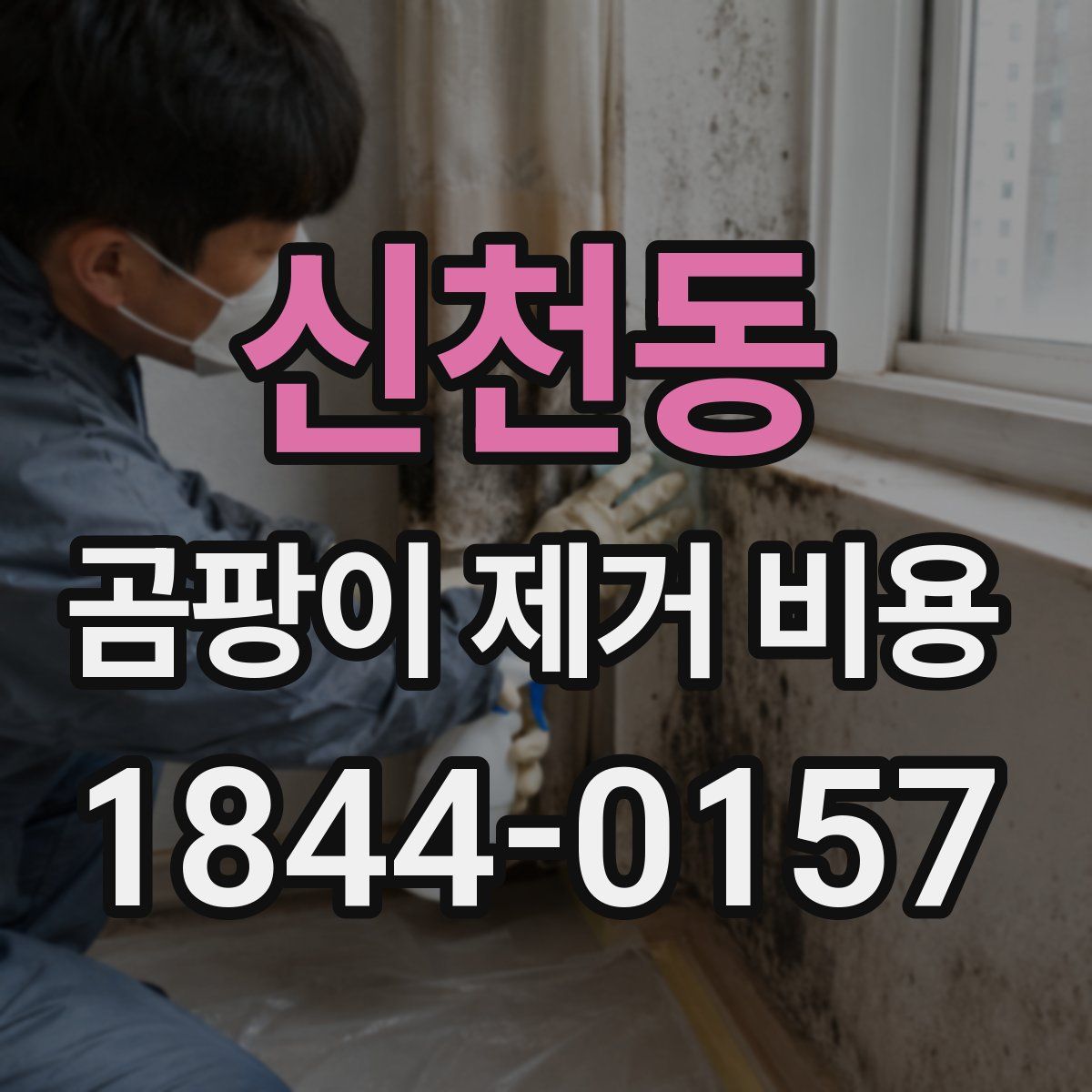 신천동 곰팡이 제거 비용