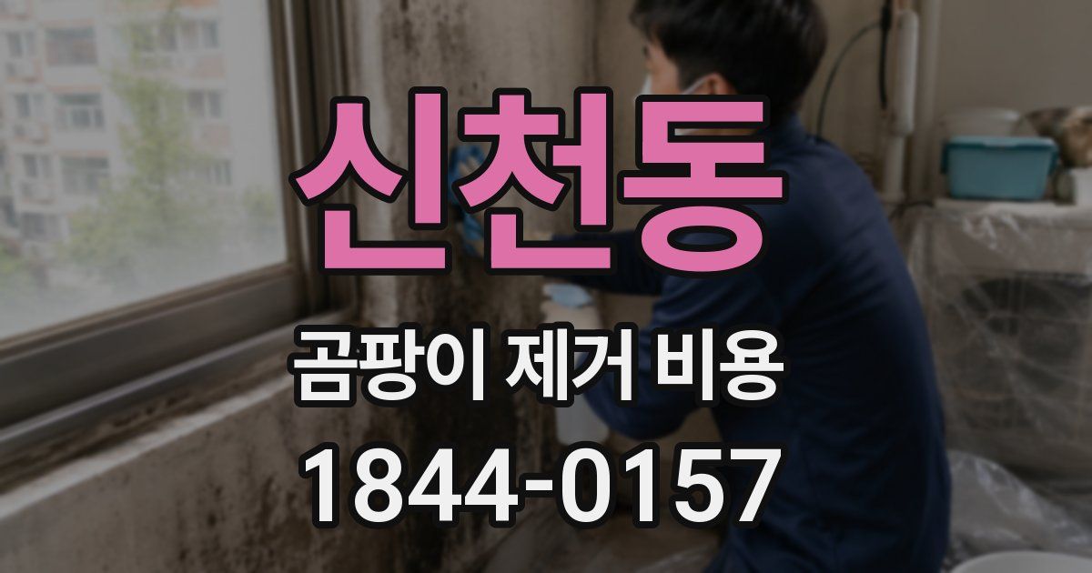신천동 곰팡이 제거 비용