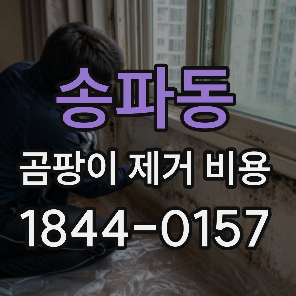 송파동 곰팡이 제거 비용