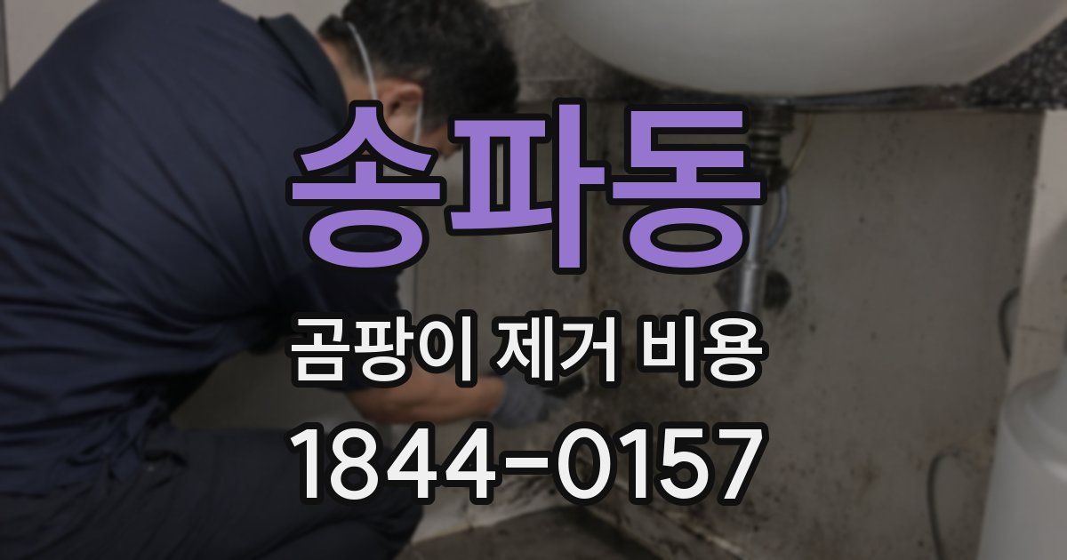 송파동 곰팡이 제거 비용