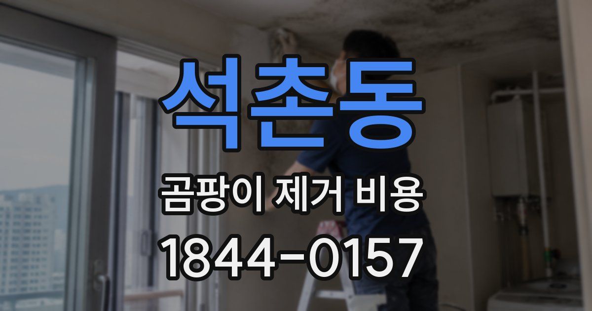 석촌동 곰팡이 제거 비용