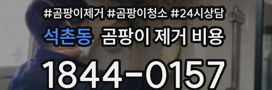 석촌동 곰팡이 제거 비용
