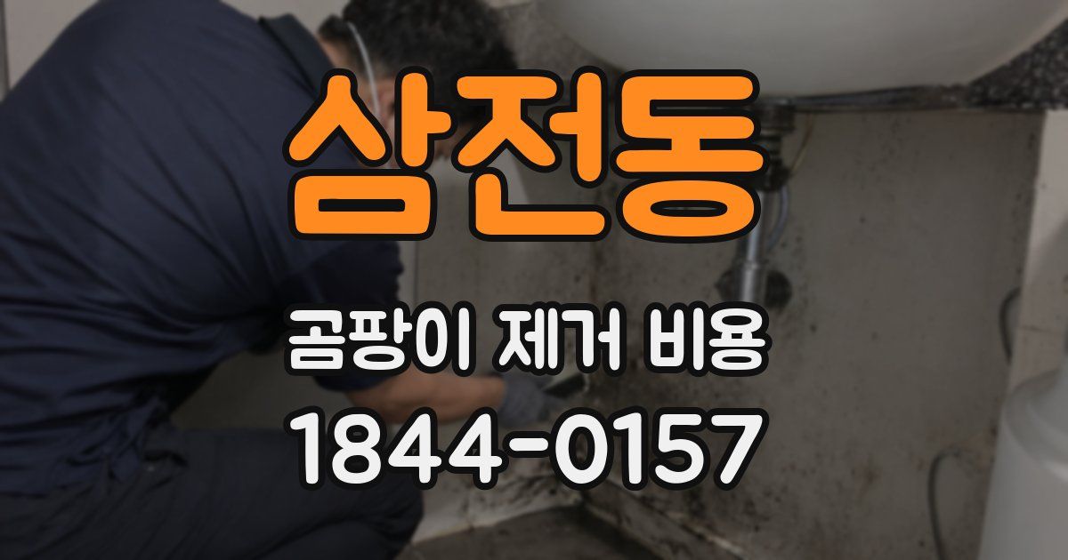 삼전동 곰팡이 제거 비용
