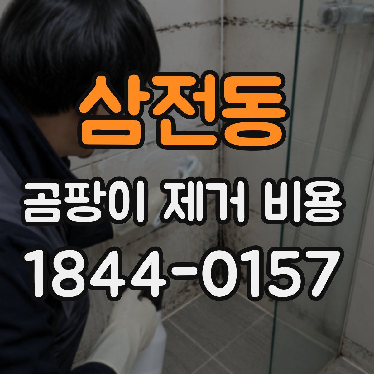 삼전동 곰팡이 제거 비용