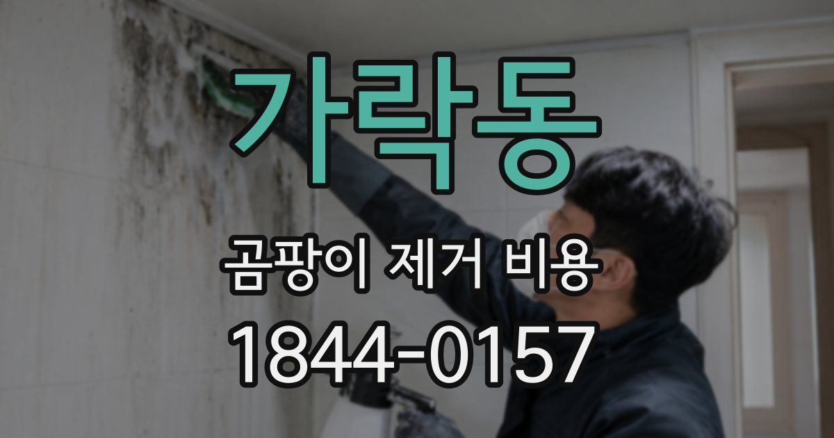 가락동 곰팡이 제거 비용