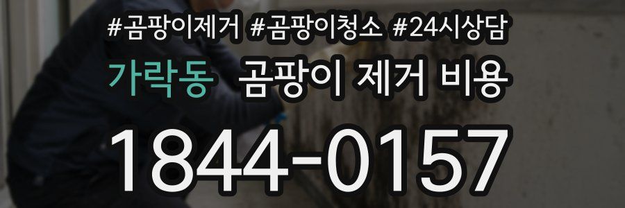 가락동 곰팡이 제거 비용