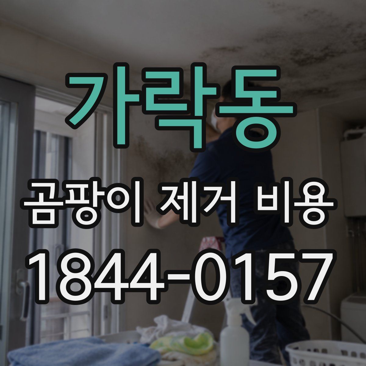 가락동 곰팡이 제거 비용