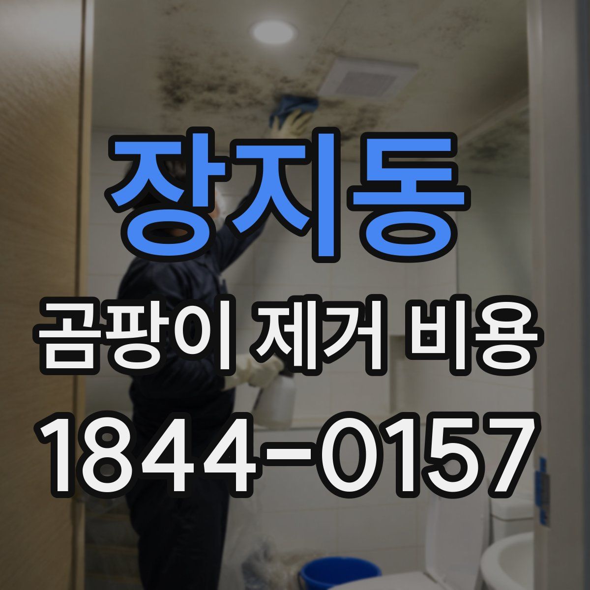 장지동 곰팡이 제거 비용