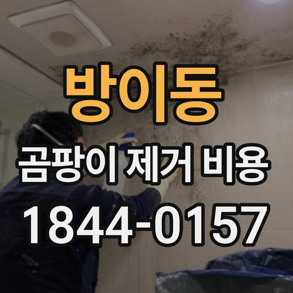 방이동 곰팡이 제거 비용