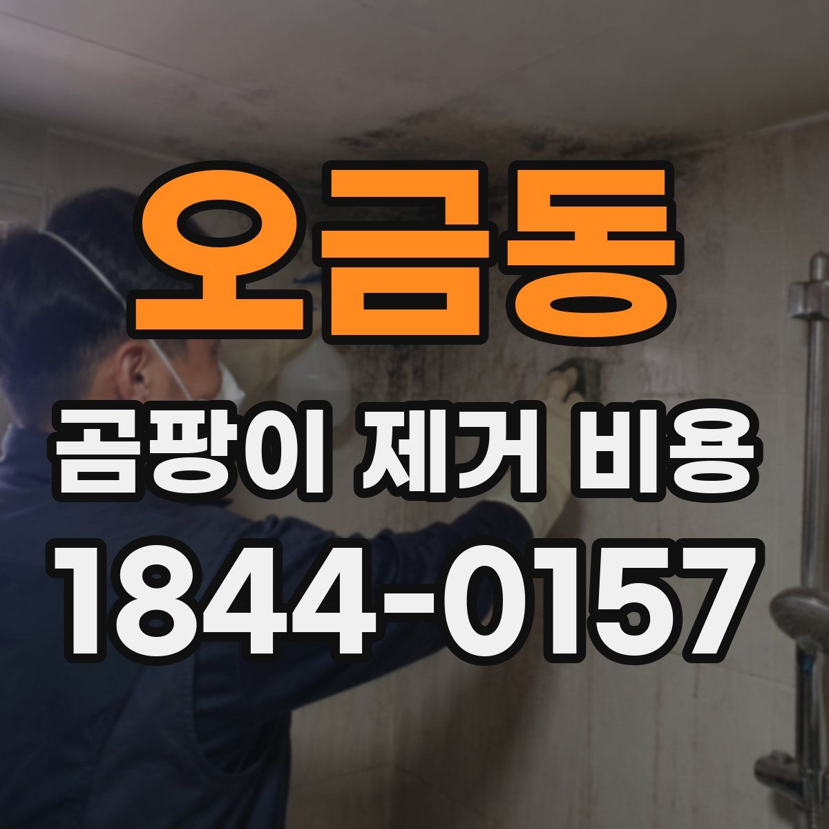 오금동 곰팡이 제거 비용