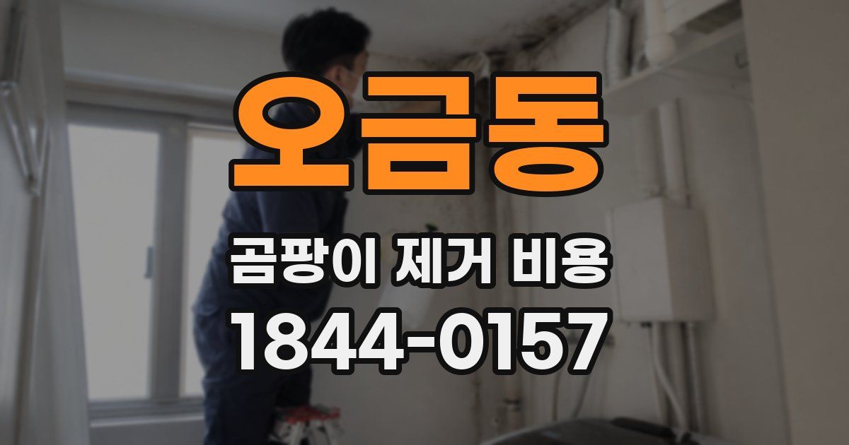 오금동 곰팡이 제거 비용
