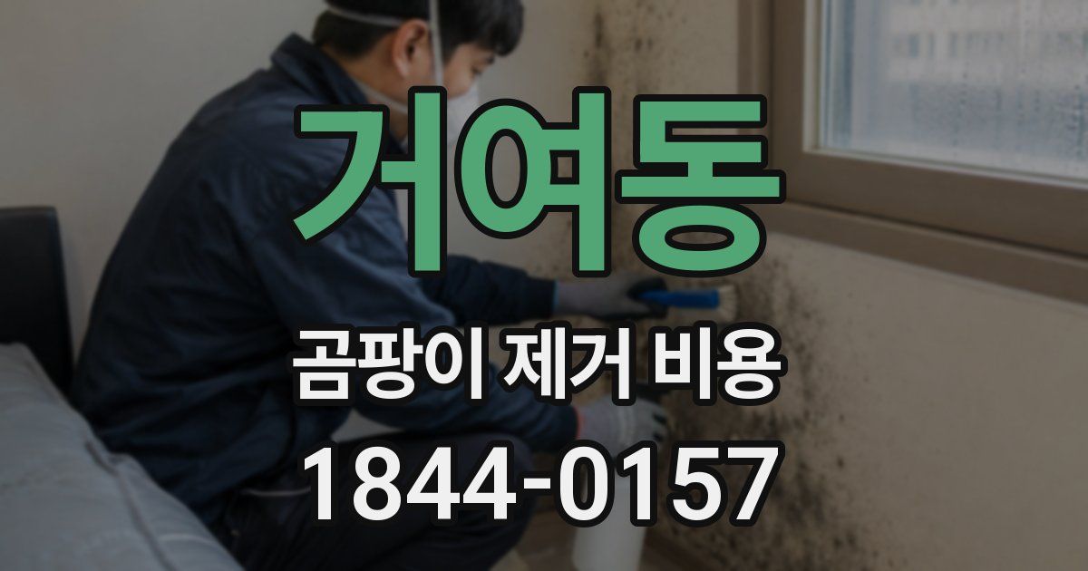 거여동 곰팡이 제거 비용