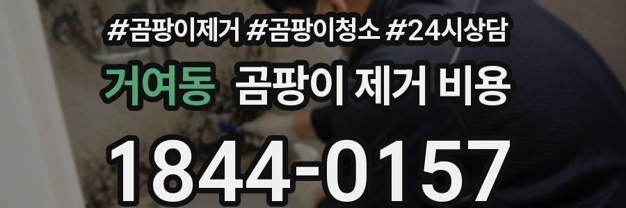 거여동 곰팡이 제거 비용