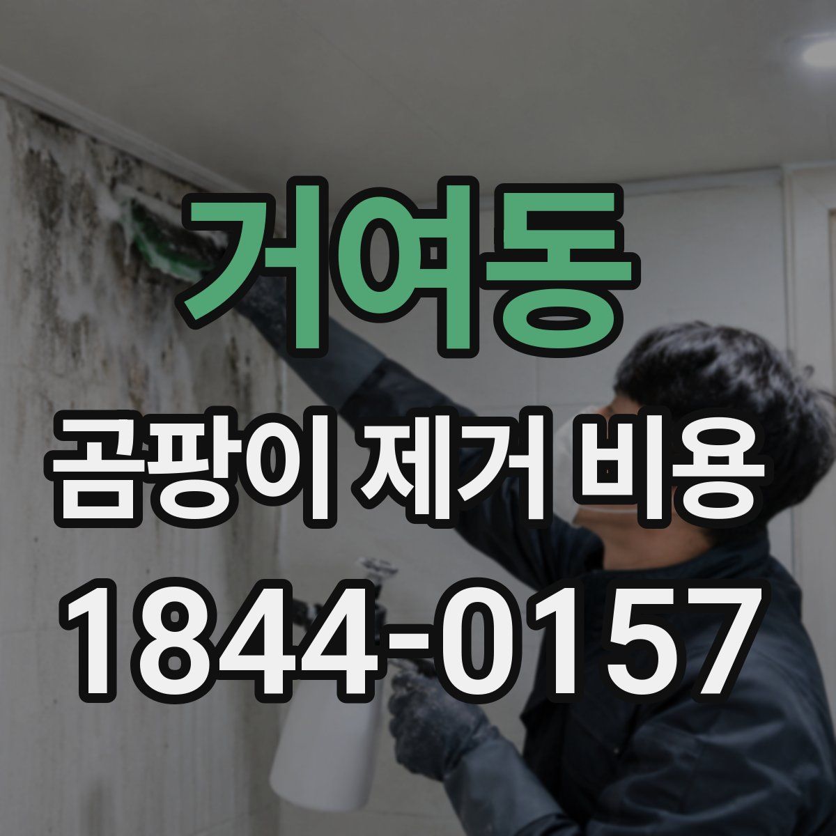 거여동 곰팡이 제거 비용