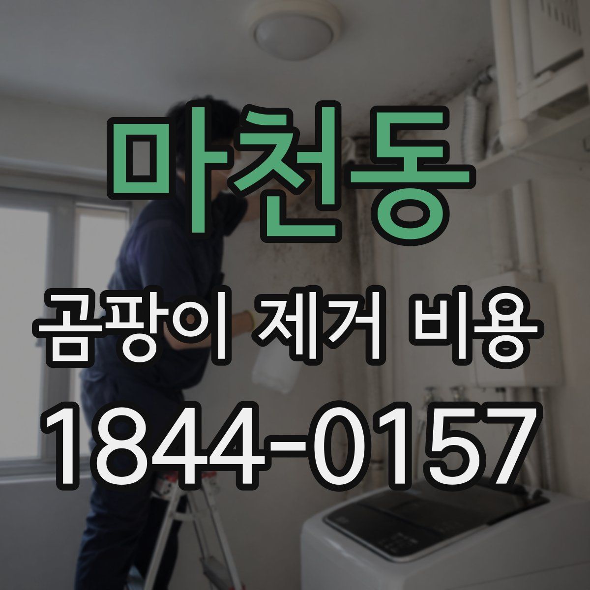 마천동 곰팡이 제거 비용