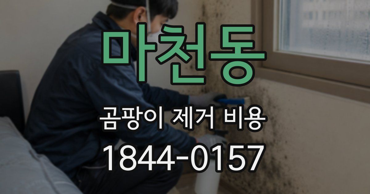 마천동 곰팡이 제거 비용