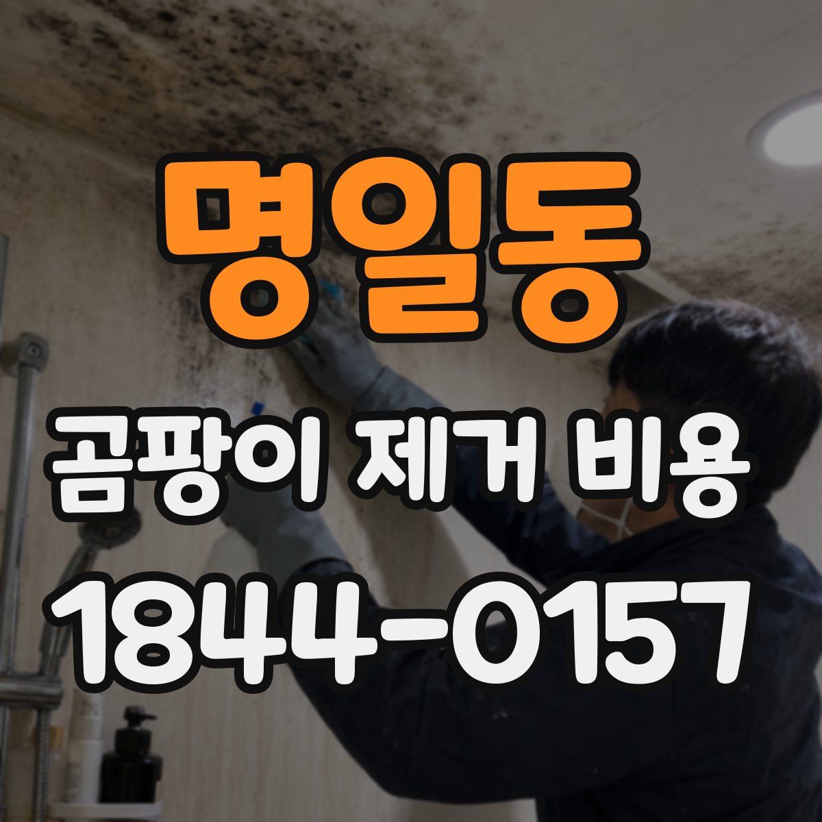 명일동 곰팡이 제거 비용