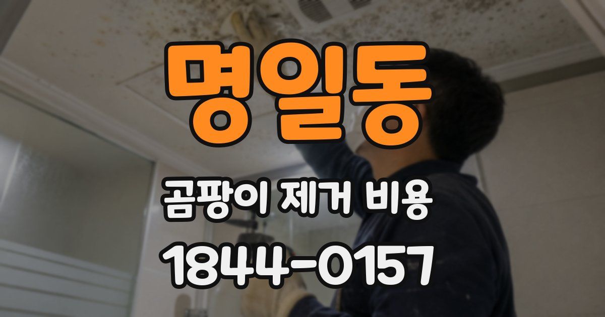 명일동 곰팡이 제거 비용
