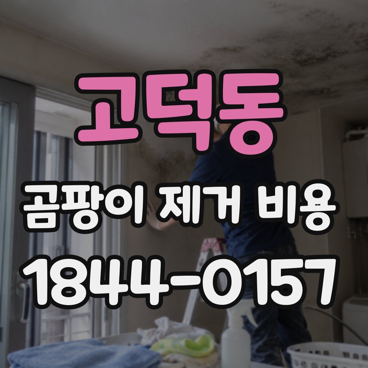 고덕동 곰팡이 제거 비용